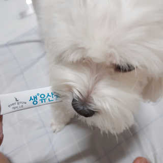 [빙그레] 에버그로 생유산균 1봉（10포입）+펫밀크2팩 — 5점을 준 리뷰어가 2019년 5월 올린 사용 사진