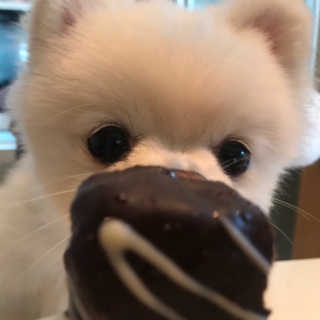 민도토리님이 올린 리뷰 사진 3