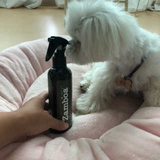 율리킴님이 올린 리뷰 사진 2