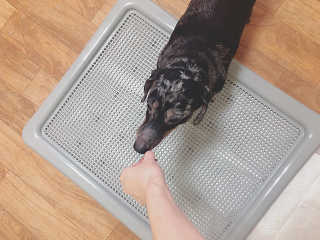 이은혜님이 올린 리뷰 사진 2