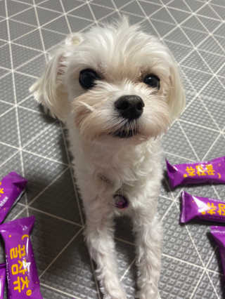 당근님이 올린 리뷰 사진 1