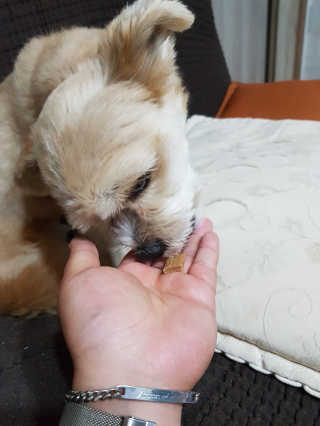 한동동님이 올린 리뷰 사진 3