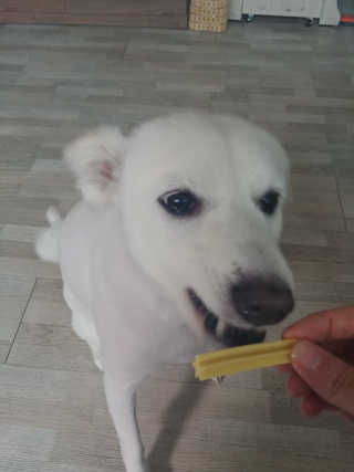 서희석님이 올린 리뷰 사진 2