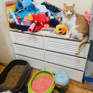 감자찌니님이 올린 리뷰 사진 2