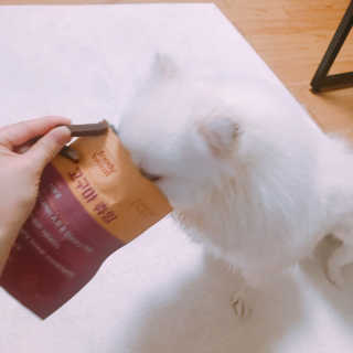 예솔님이 올린 리뷰 사진 3