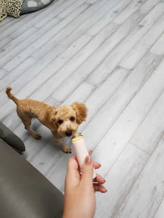 큐티윤님이 올린 리뷰 사진 1