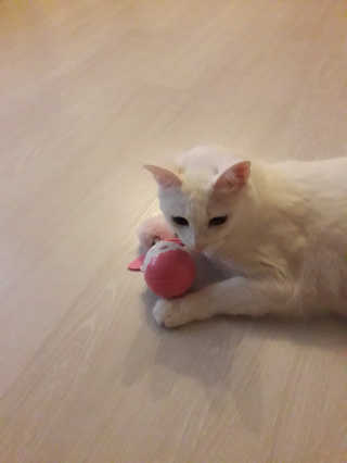 보라보라님이 올린 리뷰 사진 1
