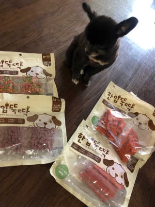 펫토리아 한입뚝딱 국내산 강아지간식 BEST 5종 — 3.5점을 준 리뷰어가 2019년 5월 올린 사용 사진
