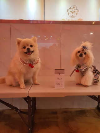뚱이땅콩맘님이 올린 리뷰 사진 4