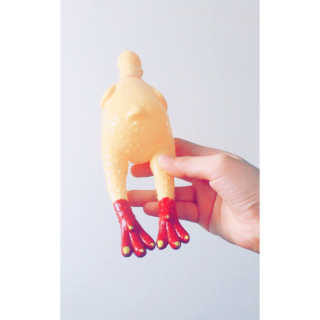 오연서님이 올린 리뷰 사진 3