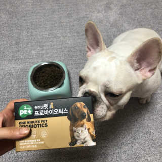 불독키우는개엄마❤️님이 올린 리뷰 사진 2