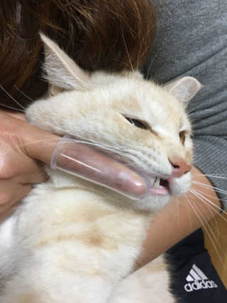 이용진님이 올린 리뷰 사진 1