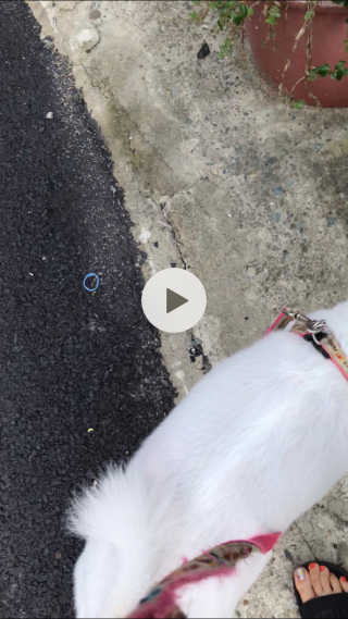 하죠이님이 올린 리뷰 사진 3