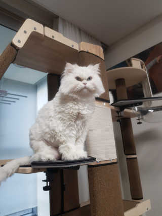 으하하하하님이 올린 리뷰 사진 1