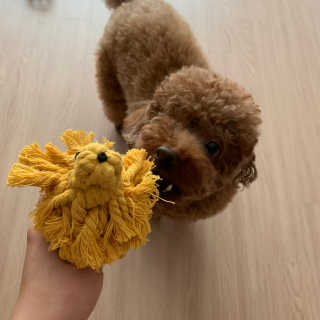 투밍님이 올린 리뷰 사진 1