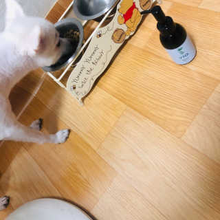 이겨울님이 올린 리뷰 사진 3