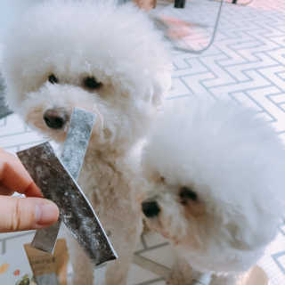 윤토마토님이 올린 리뷰 사진 1