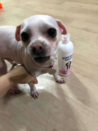 이선호님이 올린 리뷰 사진 1