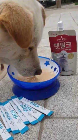 [빙그레] 에버그로 생유산균 1봉（10포입）+펫밀크2팩 — 5점을 준 리뷰어가 2019년 5월 올린 사용 사진