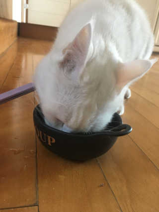 KimBomin님이 올린 리뷰 사진 1