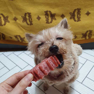 솜희님이 올린 리뷰 사진 2