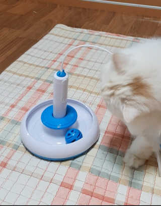 켈리심님이 올린 리뷰 사진 1