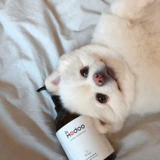 송주아님이 올린 리뷰 사진 2