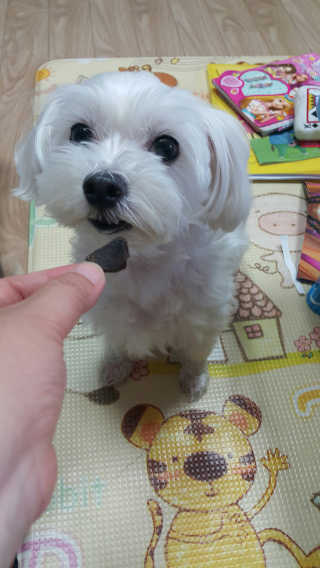 쭈리미~~님이 올린 리뷰 사진 3