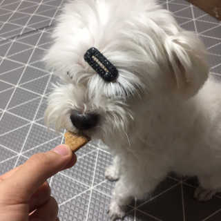 당근님이 올린 리뷰 사진 3
