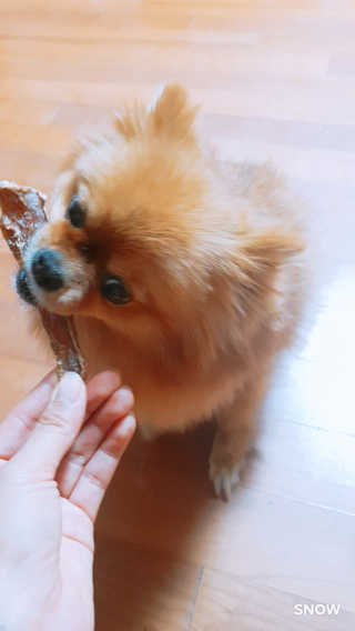 YulaKim님이 올린 리뷰 사진 3