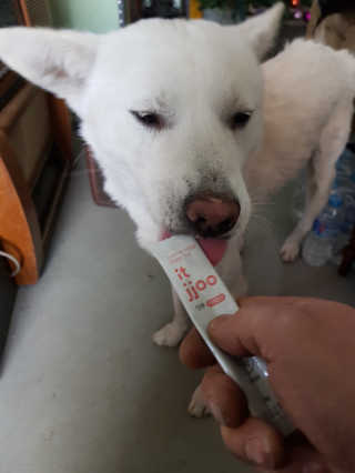 Jenny님이 올린 리뷰 사진 1
