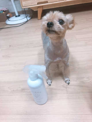 아르미님이 올린 리뷰 사진 3