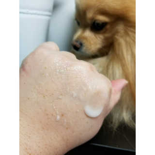 Peepingpomeranian님이 올린 리뷰 사진 4