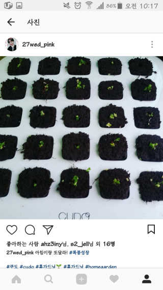 고솔비님이 올린 리뷰 사진 3