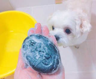 리니님이 올린 리뷰 사진 4