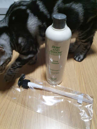 보우앤애로우 아로마테라피 올인원 리퀴드 솝 - 노니 그린 500ml — 5점을 준 리뷰어가 2019년 11월 올린 사용 사진