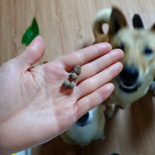 daheeary님이 올린 리뷰 사진 4