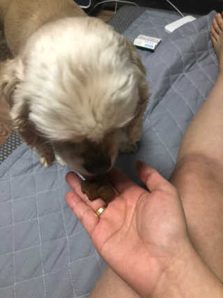 곰둥공주님님이 올린 리뷰 사진 4