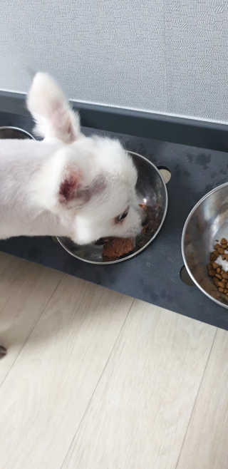 으콩님이 올린 리뷰 사진 4