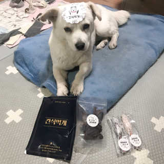 순심이님이 올린 리뷰 사진 1