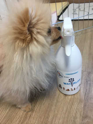 바니츼님이 올린 리뷰 사진 1