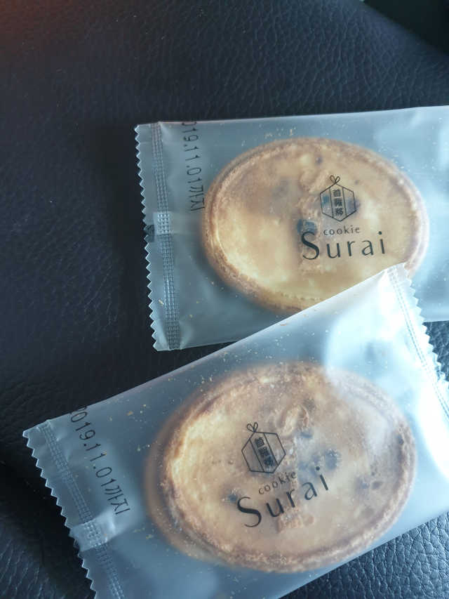 수라이 실속형 리뷰 사진