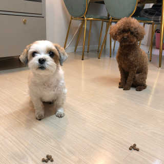 찡코11님이 올린 리뷰 사진 2