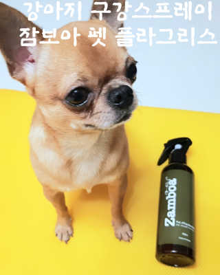 잠보아 펫 플라그리스 — 4.5점을 준 리뷰어가 2019년 9월 올린 사용 사진