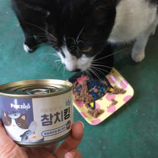 동원 참치킹 고양이 캔 12개입 — 5점을 준 리뷰어가 2018년 10월 올린 사용 사진