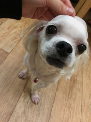 vivian님이 올린 리뷰 사진 2