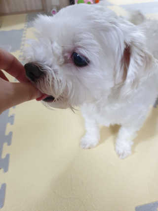 꽃지영님이 올린 리뷰 사진 3