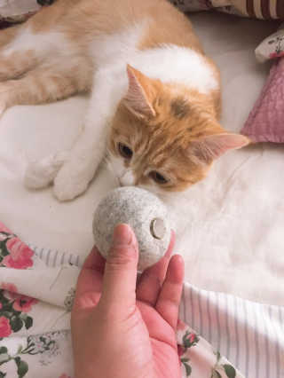 쿠키순대맘님이 올린 리뷰 사진 2