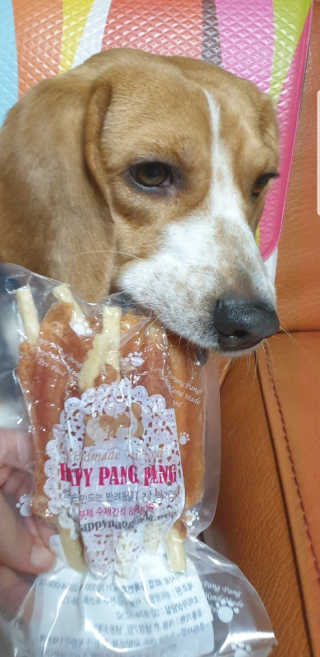 beaglelove님이 올린 리뷰 사진 1