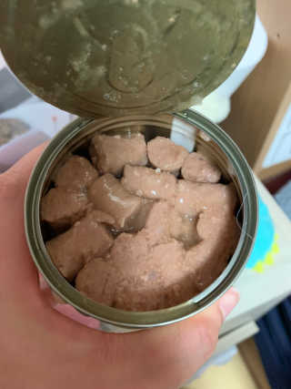[펫토리아]배피 고양이,빌리강아지 대용량주식캔 — 5점을 준 리뷰어가 2019년 7월 올린 사용 사진